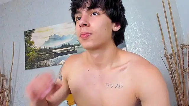 Tyler_durtenn Webbikameraesitys