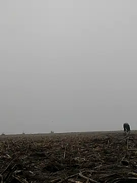 Chat XXX en directo de ThethunderPo