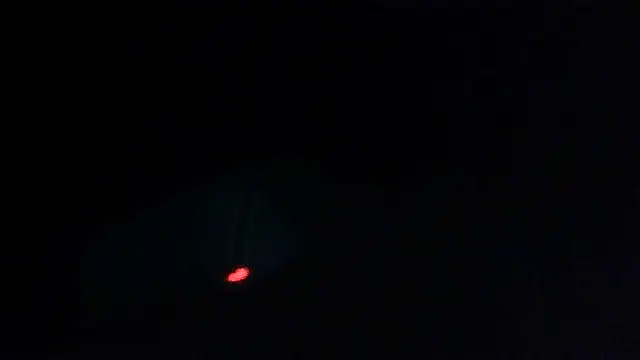 nobored Live XXX Chat