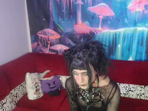 12_zasha_18n Webbikameraesitys