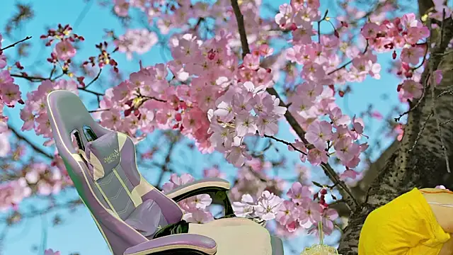 the-girlorange07 라이브 XXX 채팅