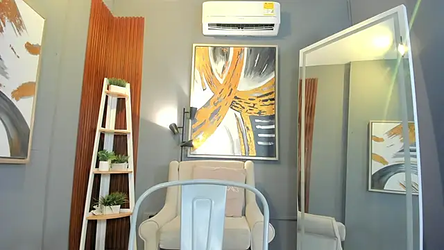 Show webcam de everyh