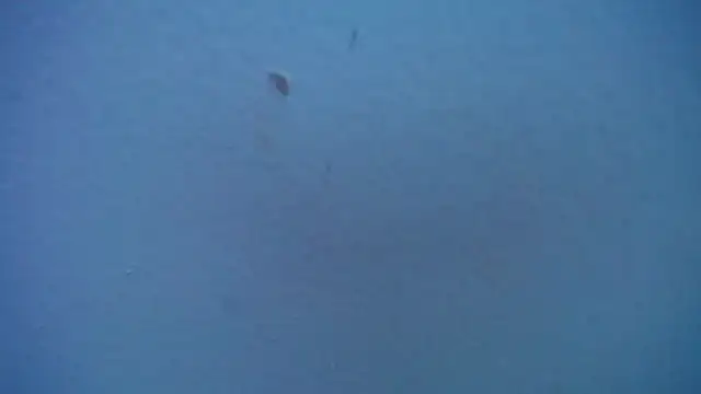 Show de Dogan_Renzo0 na webcam