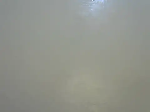 Show Webcam de Rasta_tattooed