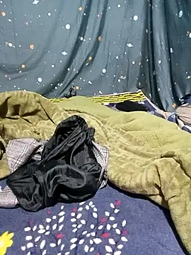 Phoena-a 网络视讯表演