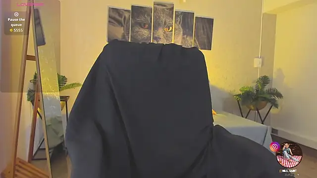 Nils_saintt Webcam Show