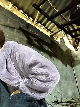 feli-00 网络视讯表演