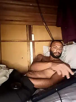 Camodickのウェブカメラショー