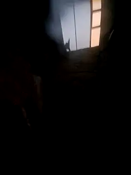 Živý XXX chat daddy_ricky