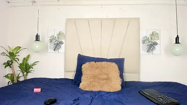 Webkamerová show Ashley_Ebony__