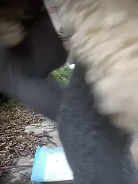 Xiao-meng66のウェブカメラショー