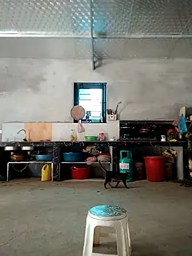 sushi-asa 网络视讯表演