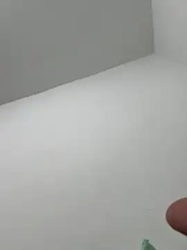 Valmirppg – Kamerová šou