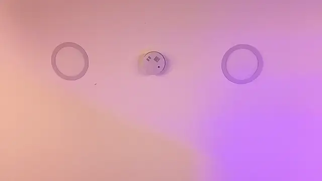 Megan_Ritz 现场XXX聊天