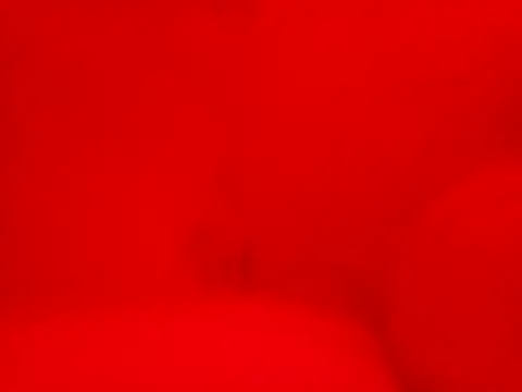 lacrespa24 Chat XXX live