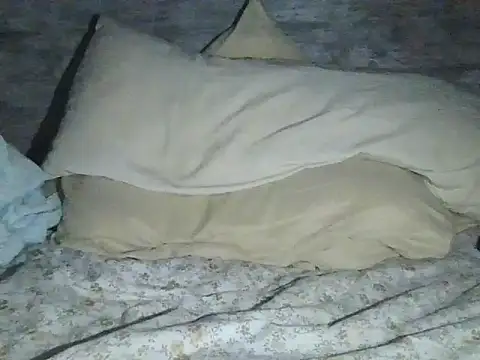 Show modela maia-layon na web-kameri