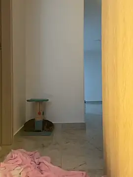 Dayanna_adams – Live XXX-chat