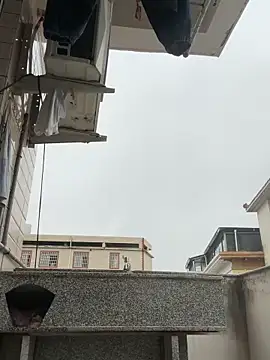 daaqnn 网络视讯表演