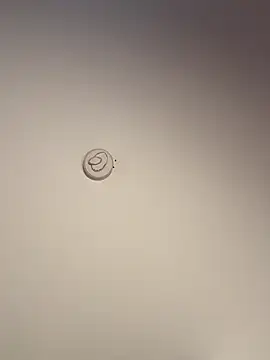 Živý XXX chat Andrestarr