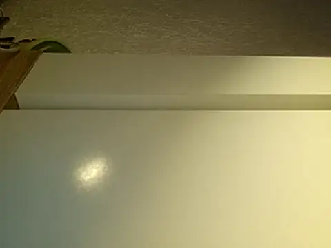 BigHeatX 网络视讯表演