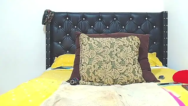 Show modela AnySugar na web-kameri