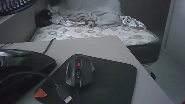 JUNINHOLEKEJR Live XXX-Chat