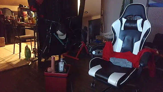 Show webcam de bigshh8