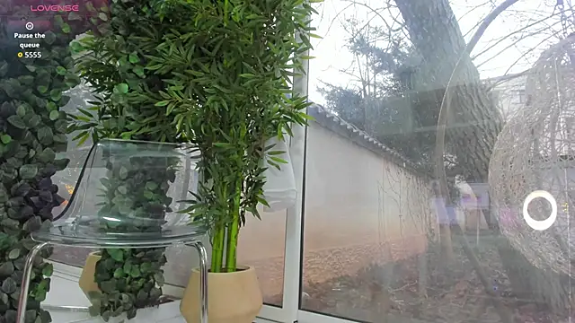 Chatroom XXX en direct de Lexi_Storm