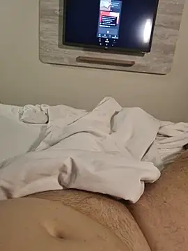 Show Webcam de Scorpions2025