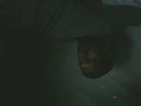 Show Webcam de Alphamancum