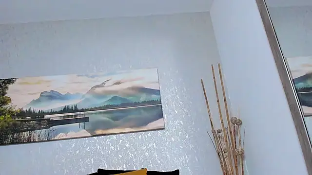 Tyler_durtenのウェブカメラショー