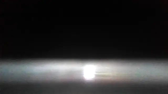 Antoniothedon: απευθείας συνομιλία ΧΧΧ