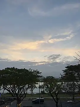 mailex99のライブXXXチャット