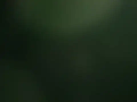 bomvemcam Chat XXX in diretta