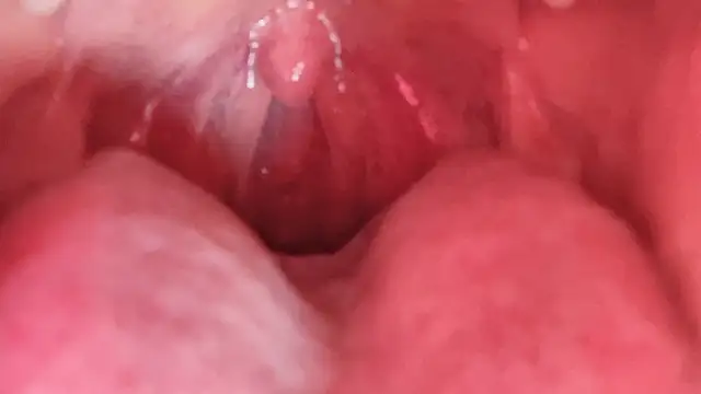 Онлайн чат XXX LT-333