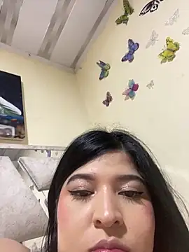 Show Webcam de Vliacoooper2