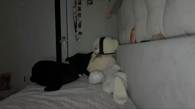 AriaMeire Live XXX-Chat