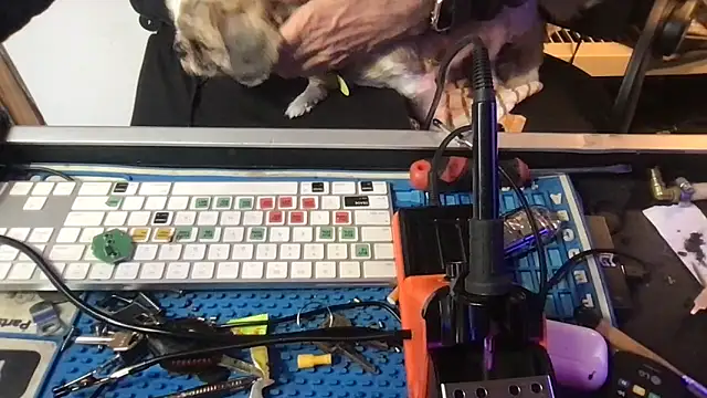 SinlessFreedom7 – Live XXX-chat