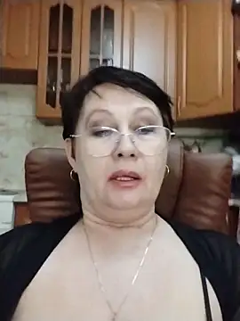 Show webcam de SalientClean