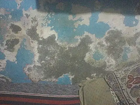 Shrikz99 webkamerás műsora