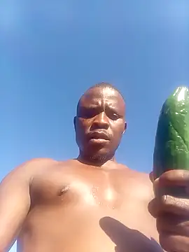 Show Webcam de samagira