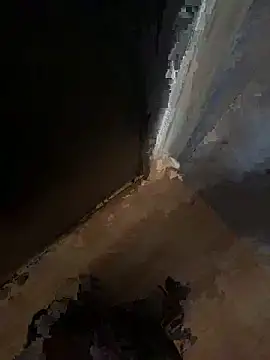 Show webcam de libetin3