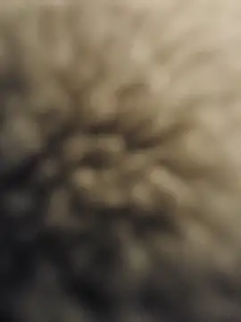 Chat XXX ao vivo de Karine0806