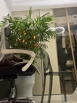 دردشة feifei-love الجنسية المباشرة