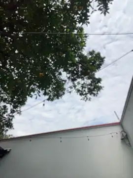 Namii_cute élő XXX-chatje