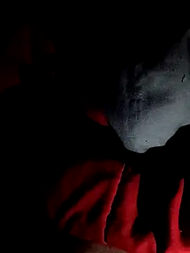 Show webcam de crazycam619