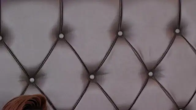 MayaHale: вебкам-шоу