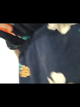 Harley-77 现场XXX聊天