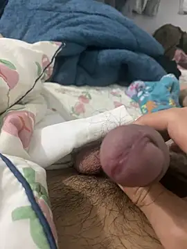 Pony2xx 网络视讯表演