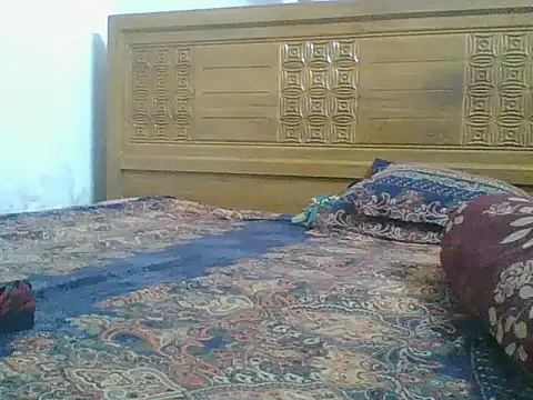 Heartline Live XXX-chat